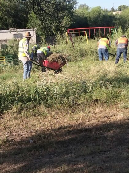 Intensifican labores de deshierbe en la plaza de la colonia 11 de Julio para mayor seguridad vial