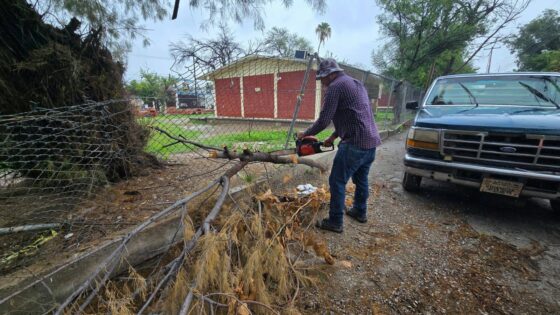 Retiran enramadas caídas por lluvias en la colonia Comercial y la Escuela Acuña