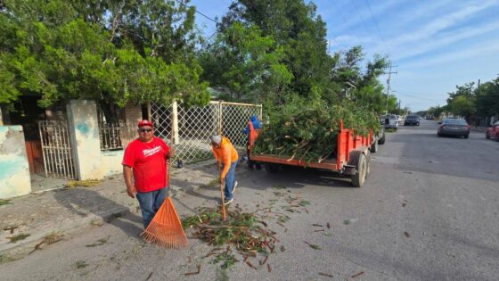 Realizan poda de árboles en la colonia Independencia para prevenir accidentes viales y peatonales