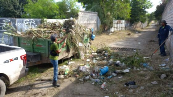 Intensifican labores de limpieza en el arroyo de la calle Acuña y en el sector centro