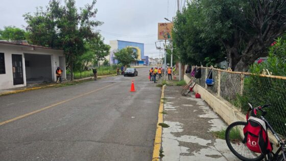 Dirección de Ecología
